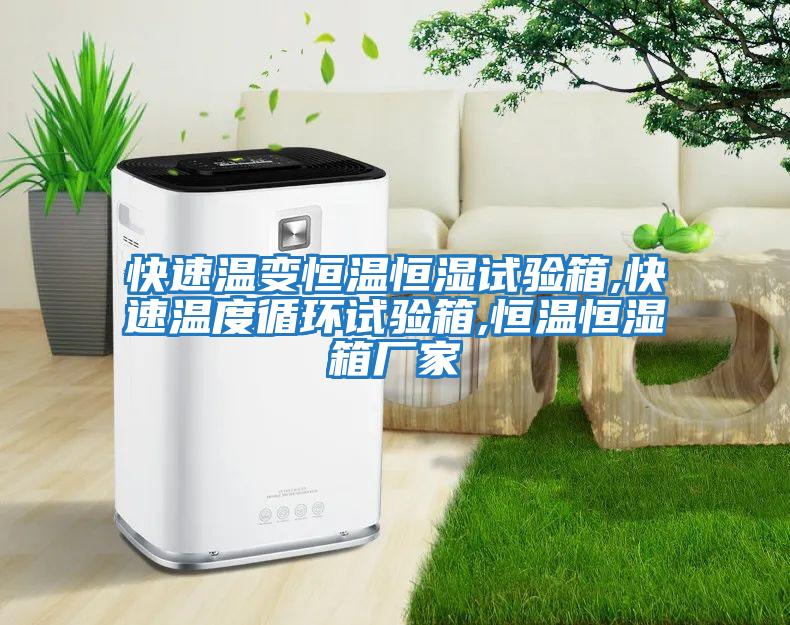 快速溫變恒溫恒濕試驗箱,快速溫度循環試驗箱,恒溫恒濕箱廠家