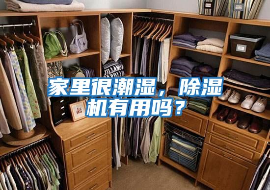 家里很潮濕,除濕機(jī)有用嗎?