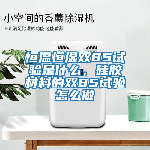 恒溫恒濕雙85試驗是什么，硅膠材料的雙85試驗怎么做