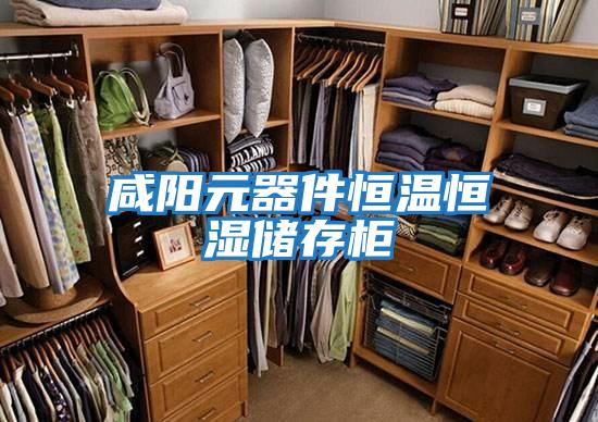 咸陽(yáng)元器件恒溫恒濕儲(chǔ)存柜