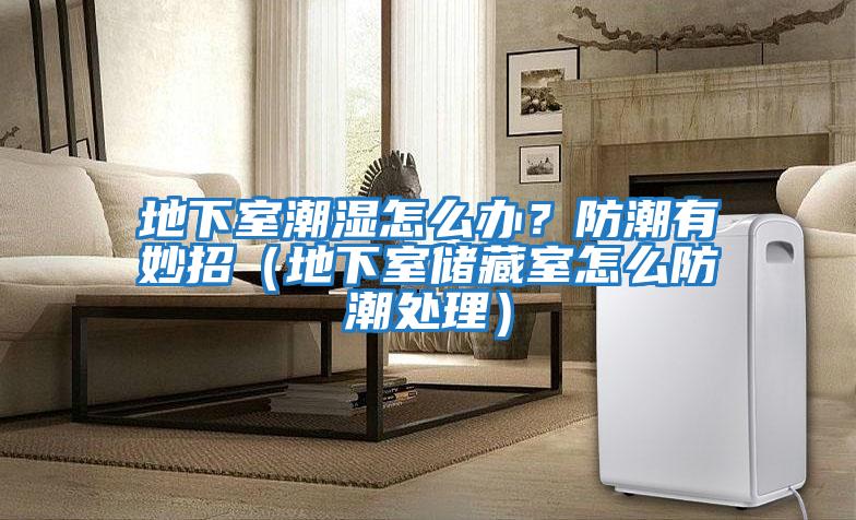 地下室潮濕怎么辦？防潮有妙招（地下室儲(chǔ)藏室怎么防潮處理）