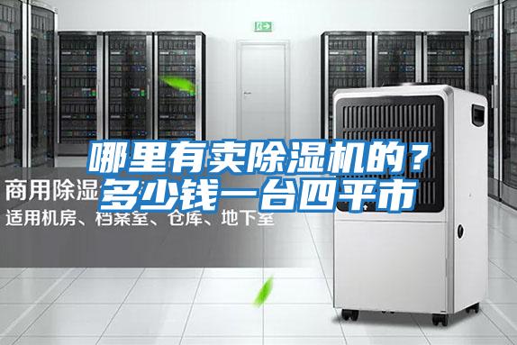哪里有賣除濕機的?多少錢一臺四平市