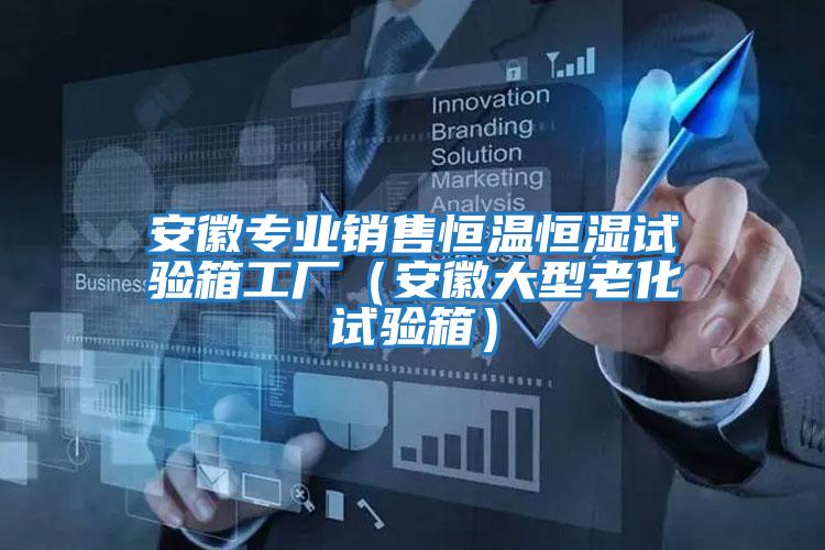 安徽專業銷售恒溫恒濕試驗箱工廠（安徽大型老化試驗箱）