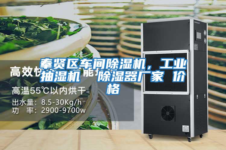 奉賢區車間除濕機，工業抽濕機  除濕器廠家 價格