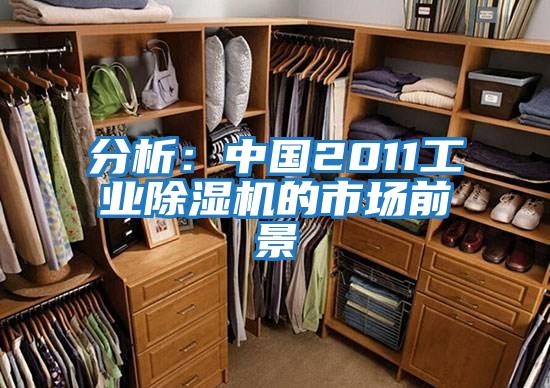 分析:中國2011工業(yè)除濕機的市場前景