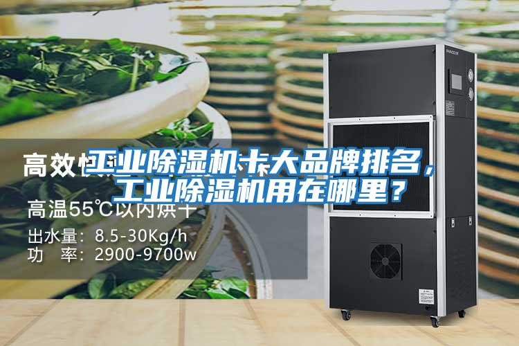 工業除濕機十大品牌排名，工業除濕機用在哪里？