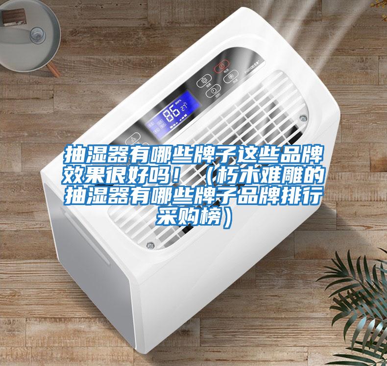 抽濕器有哪些牌子這些品牌效果很好嗎?。ㄐ嗄倦y雕的抽濕器有哪些牌子品牌排行采購榜）