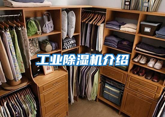 工業(yè)除濕機介紹