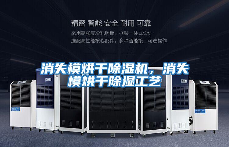消失模烘干除濕機(jī),消失模烘干除濕工藝