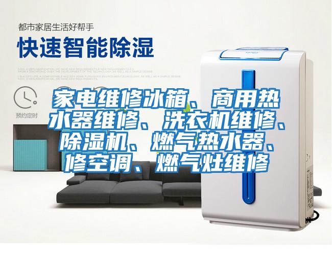 家電維修冰箱、商用熱水器維修、洗衣機(jī)維修、除濕機(jī)、燃?xì)鉄崴?、修空調(diào)、燃?xì)庠罹S修