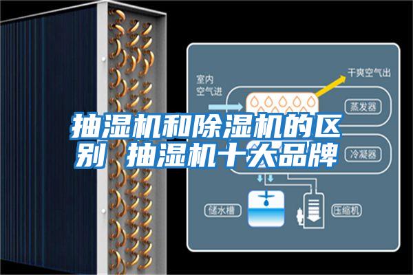 抽濕機和除濕機的區別 抽濕機十大品牌