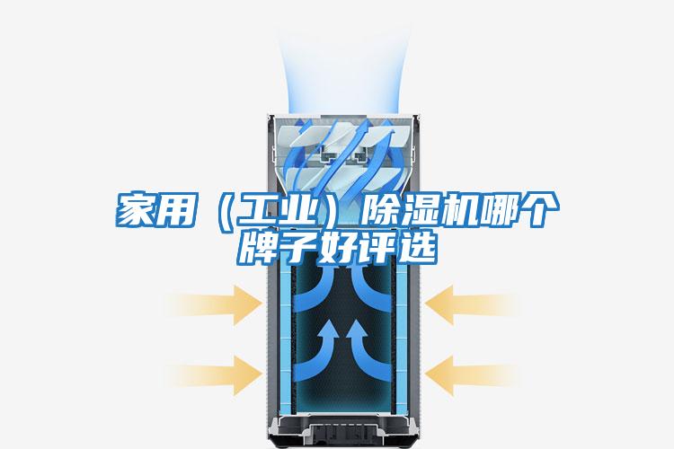 家用(工業(yè))除濕機哪個牌子好評選