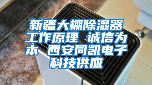 新疆大棚除濕器工作原理 誠信為本 西安同凱電子科技供應(yīng)