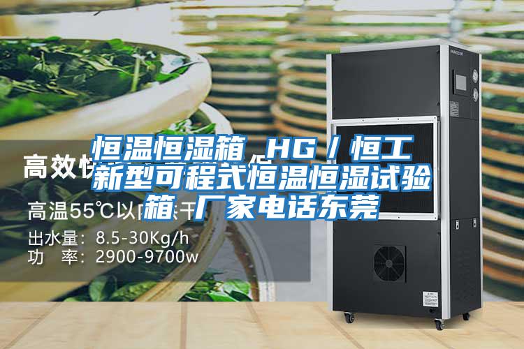 恒溫恒濕箱 HG/恒工 新型可程式恒溫恒濕試驗箱 廠家電話東莞