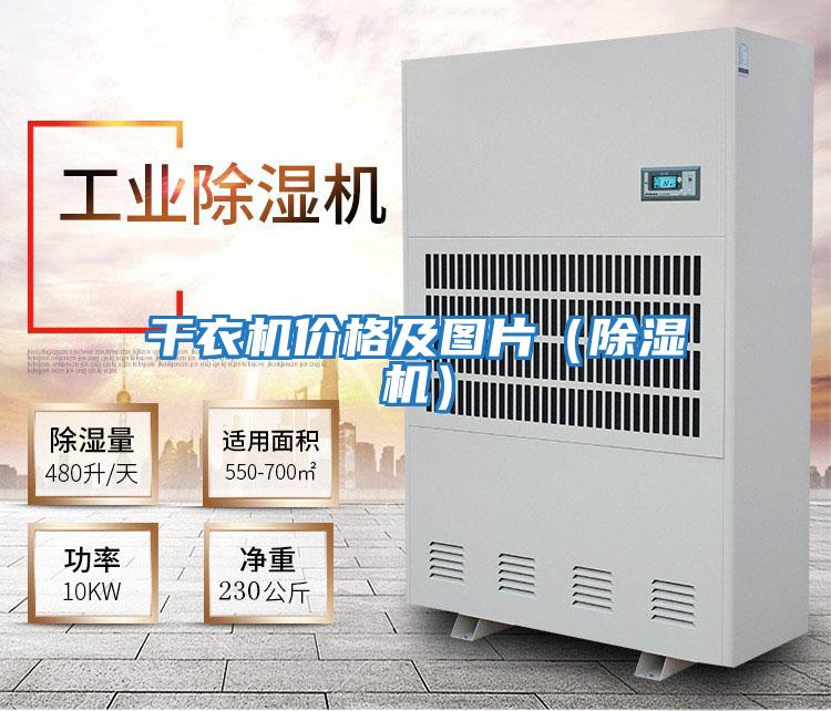 干衣機(jī)價(jià)格及圖片(除濕機(jī))