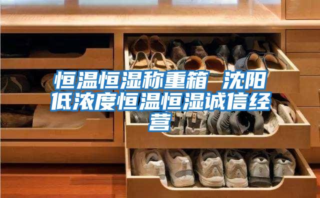 恒溫恒濕稱(chēng)重箱 沈陽(yáng)低濃度恒溫恒濕誠(chéng)信經(jīng)營(yíng)