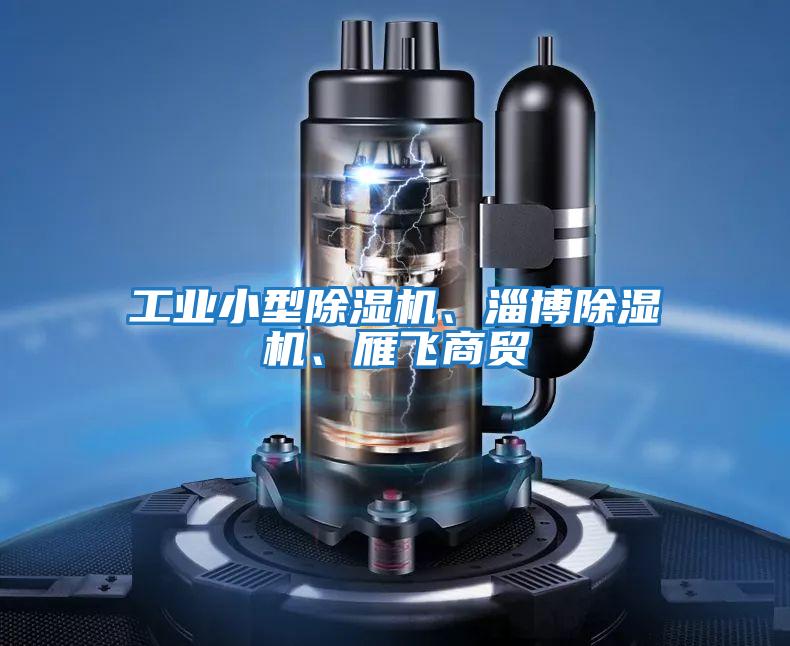 工業小型除濕機、淄博除濕機、雁飛商貿