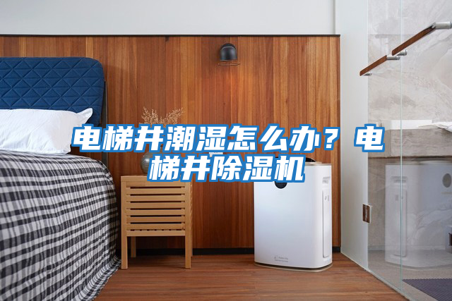 電梯井潮濕怎么辦？電梯井除濕機(jī)