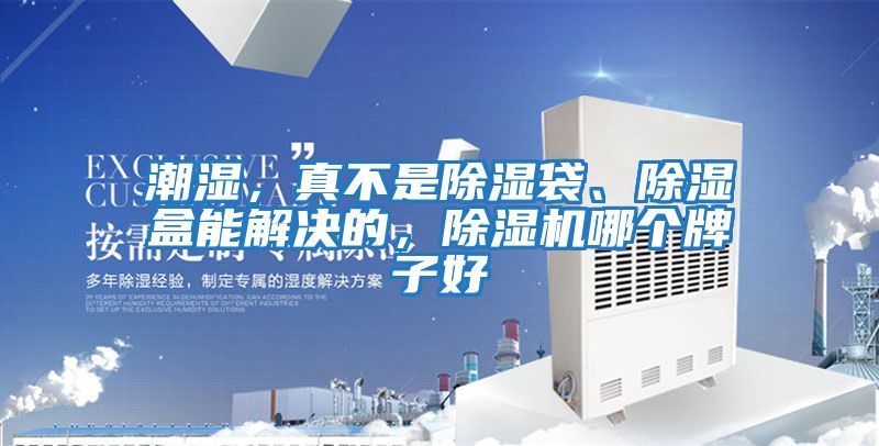 潮濕，真不是除濕袋、除濕盒能解決的，除濕機哪個牌子好