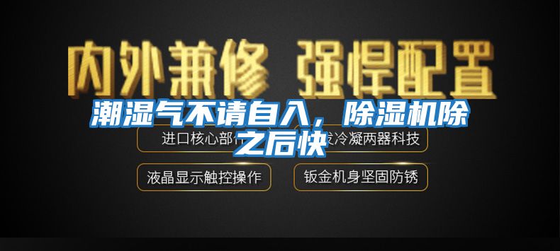 潮濕氣不請自入，除濕機除之后快