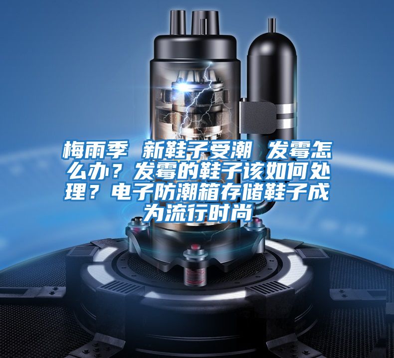 梅雨季 新鞋子受潮 發(fā)霉怎么辦？發(fā)霉的鞋子該如何處理？電子防潮箱存儲鞋子成為流行時尚