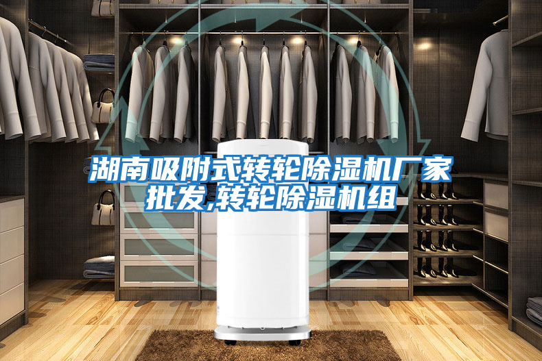 湖南吸附式轉輪除濕機廠家批發,轉輪除濕機組