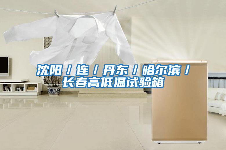 沈陽(yáng)/連/丹東/哈爾濱/長(zhǎng)春高低溫試驗(yàn)箱