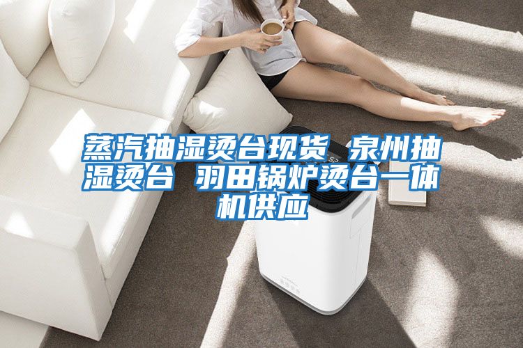 蒸汽抽濕燙臺現貨 泉州抽濕燙臺 羽田鍋爐燙臺一體機供應