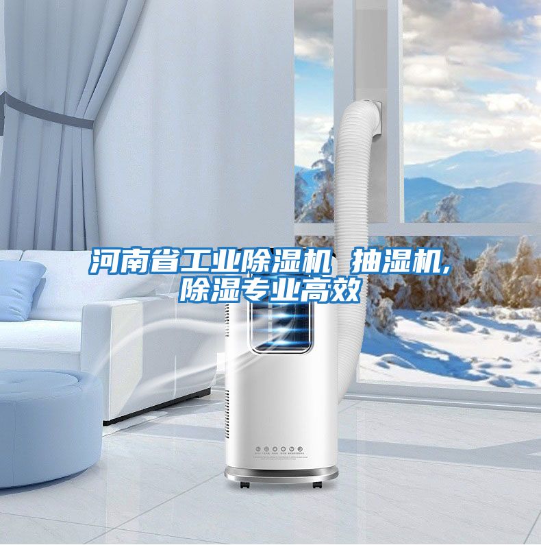 河南省工業(yè)除濕機(jī) 抽濕機(jī),除濕專業(yè)高效