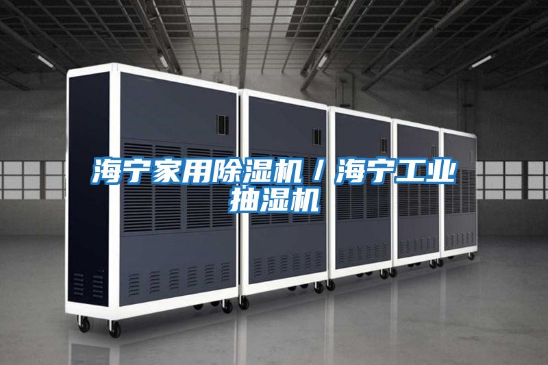 海寧家用除濕機/海寧工業抽濕機