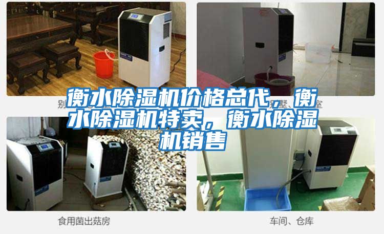 衡水除濕機(jī)價(jià)格總代，衡水除濕機(jī)特賣，衡水除濕機(jī)銷售