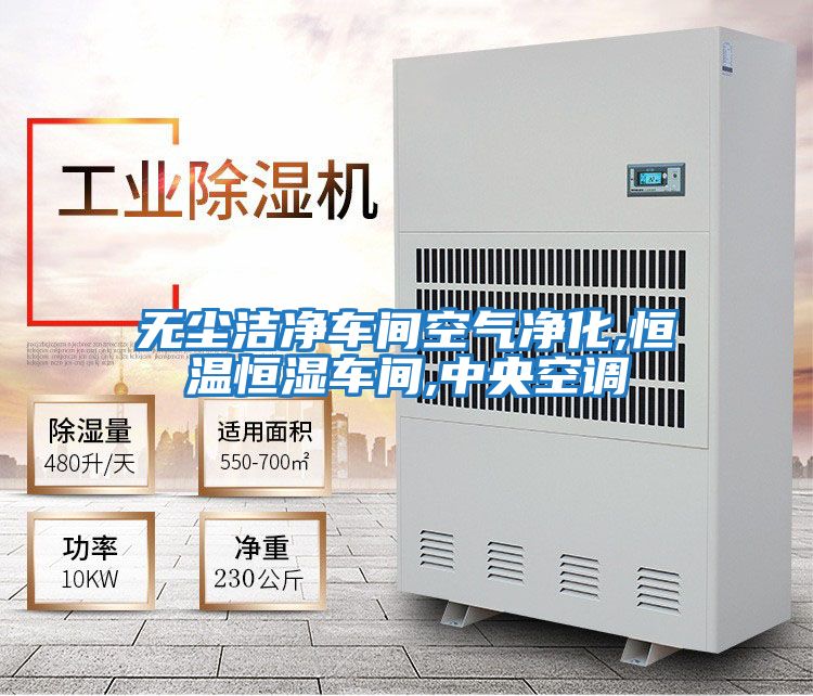 無(wú)塵潔凈車間空氣凈化,恒溫恒濕車間,中央空調(diào)