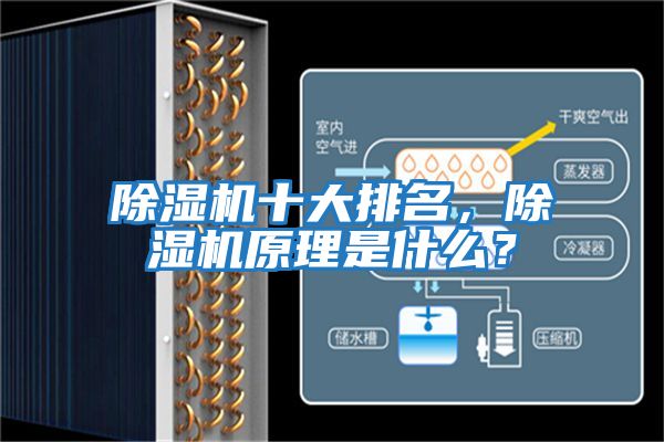 除濕機十大排名,除濕機原理是什么?