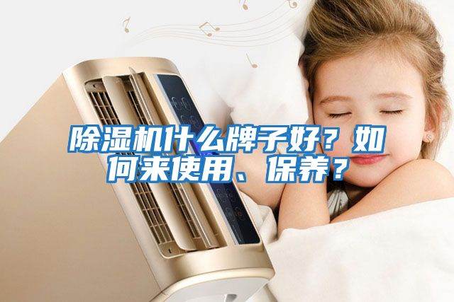 除濕機(jī)什么牌子好?如何來(lái)使用、保養(yǎng)?