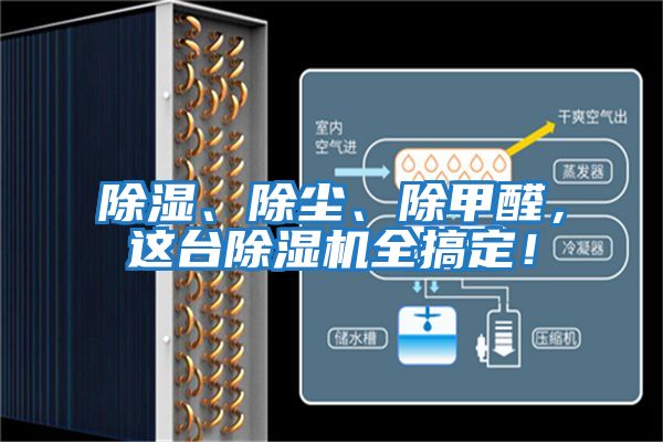 除濕、除塵、除甲醛，這臺除濕機(jī)全搞定！