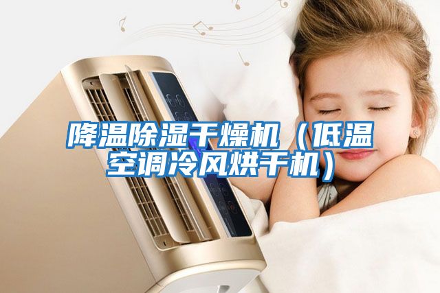 降溫除濕干燥機（低溫空調(diào)冷風烘干機）
