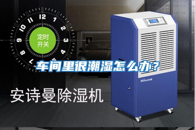 車間里很潮濕怎么辦?