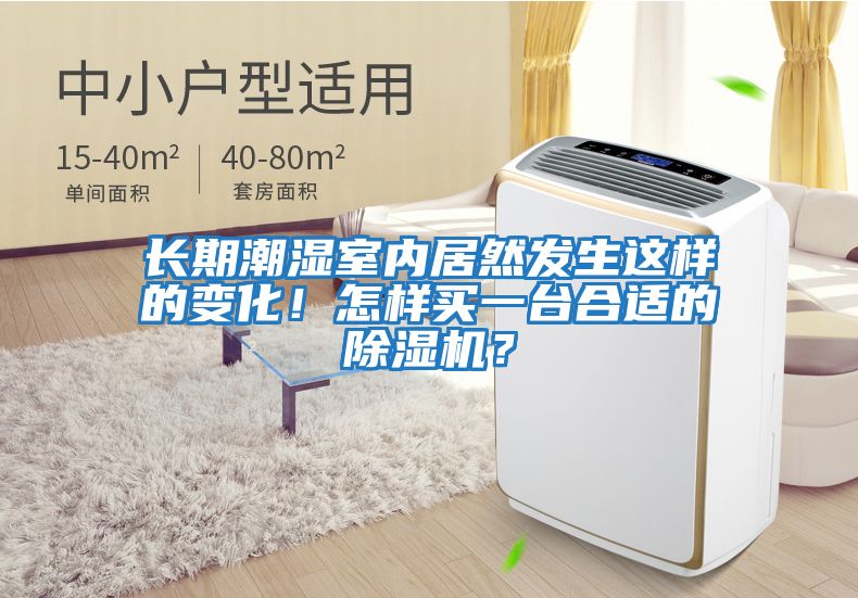 長期潮濕室內居然發生這樣的變化！怎樣買一臺合適的除濕機？