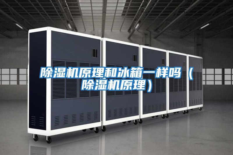除濕機(jī)原理和冰箱一樣嗎(除濕機(jī)原理)