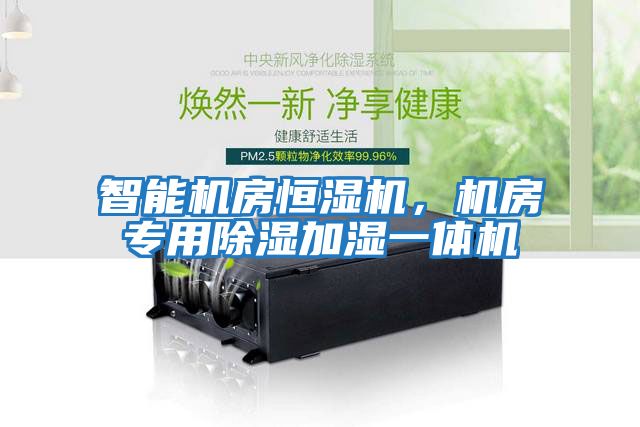 智能機房恒濕機，機房專用除濕加濕一體機