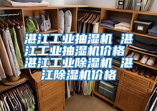 湛江工業抽濕機 湛江工業抽濕機價格 湛江工業除濕機 湛江除濕機價格