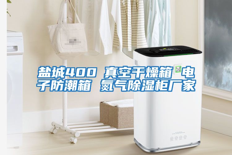 鹽城400℃真空干燥箱 電子防潮箱 氮?dú)獬凉窆駨S家