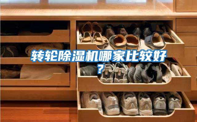 轉(zhuǎn)輪除濕機哪家比較好?