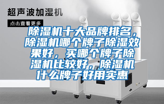 除濕機十大品牌排名，除濕機哪個牌子除濕效果好，買哪個牌子除濕機比較好，除濕機什么牌子好用實惠
