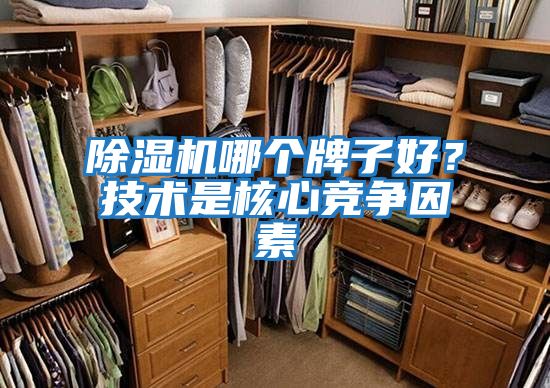 除濕機(jī)哪個牌子好?技術(shù)是核心競爭因素