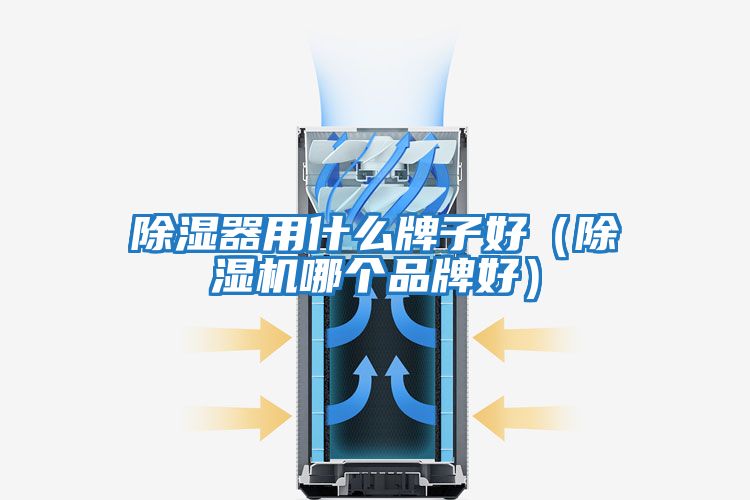 除濕器用什么牌子好(除濕機哪個品牌好)