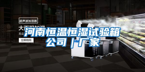 河南恒溫恒濕試驗箱公司|廠家