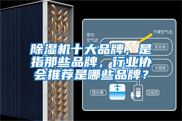 除濕機十大品牌，是指那些品牌，行業協會推薦是哪些品牌？