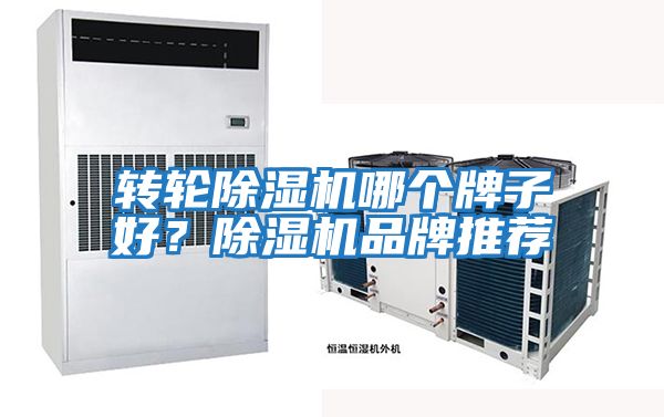 轉輪除濕機哪個牌子好？除濕機品牌推薦
