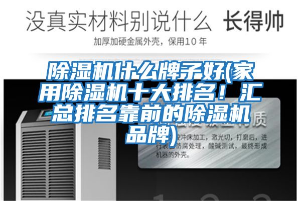 除濕機什么牌子好(家用除濕機十大排名！匯總排名靠前的除濕機品牌)